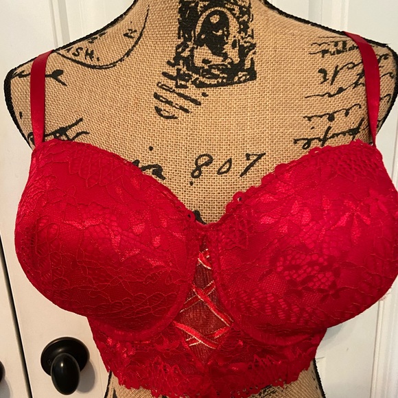Body Frosting Other - Beyond Sexy Body Frosting Red Lacey Padded Bra 44C